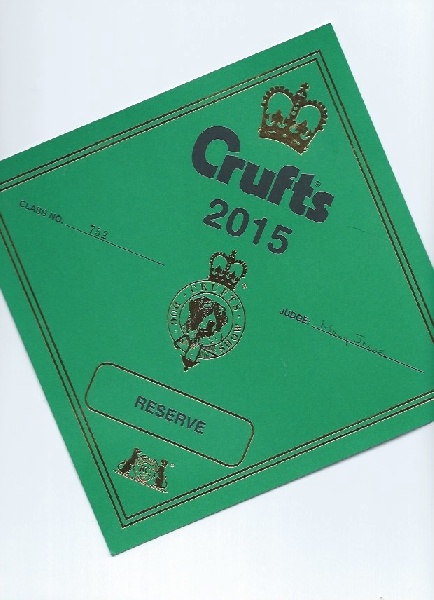 CH. i bulli di pianura Hotter than july - Reserve