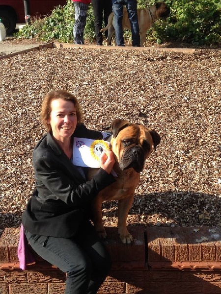 CH. i bulli di pianura Hotter than july - 3eme EXC qualifiée pour CRUFT