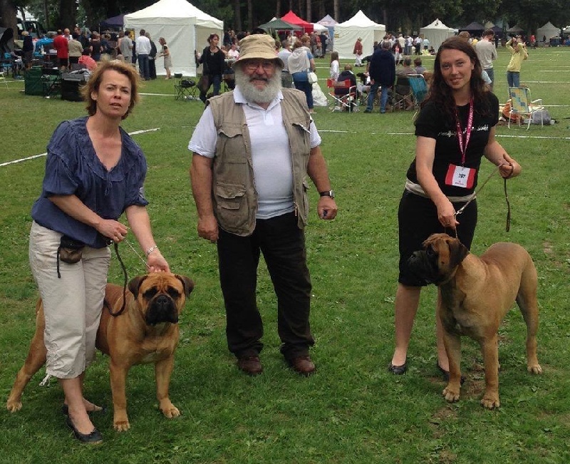 CH. i bulli di pianura Hotter than july - 1ere EXC CACS Meilleur de Race