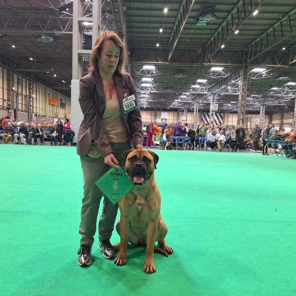 U are the one dit ugg De L'Arche Des Loups Anges - 4 eme en junior class