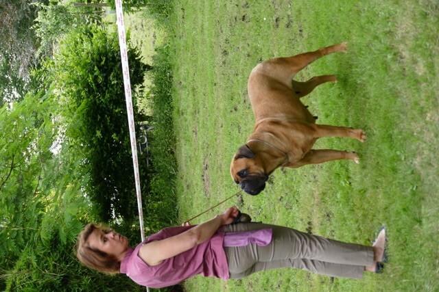 CH. i bulli di pianura Hotter than july - Meilleur de Race