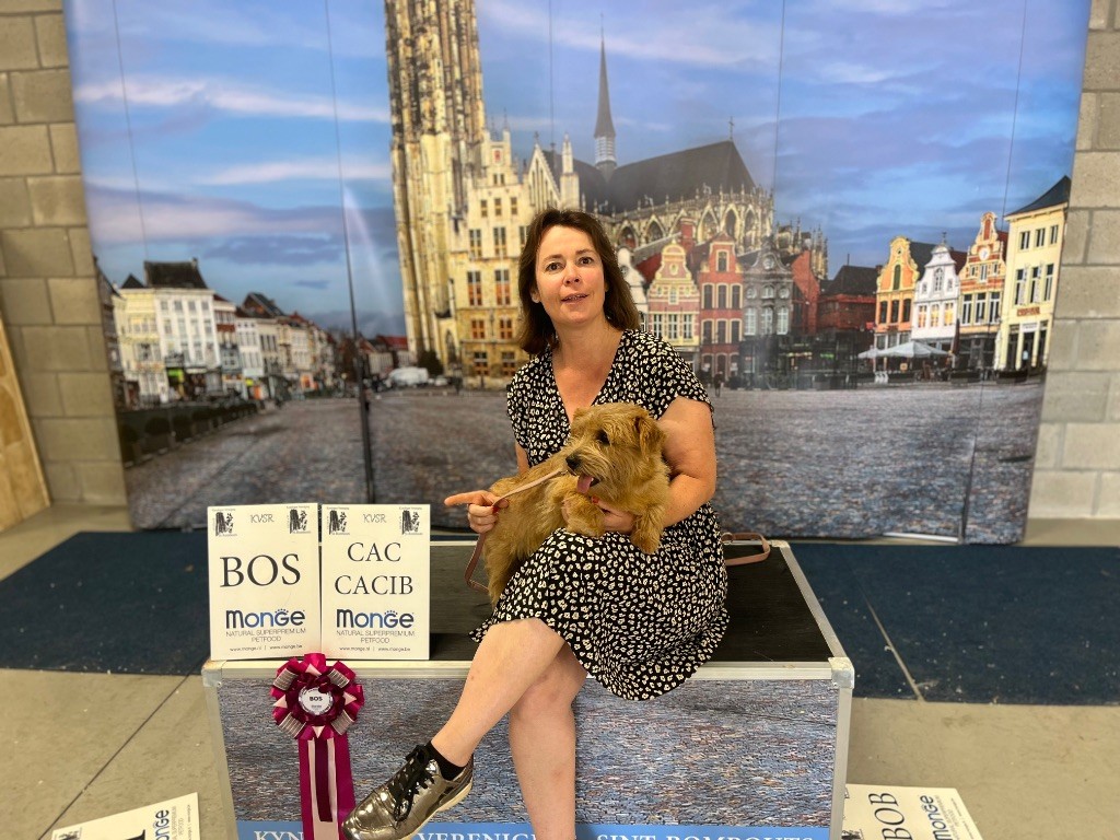 allright Peanut patty - 1 exc cac Cacib bos