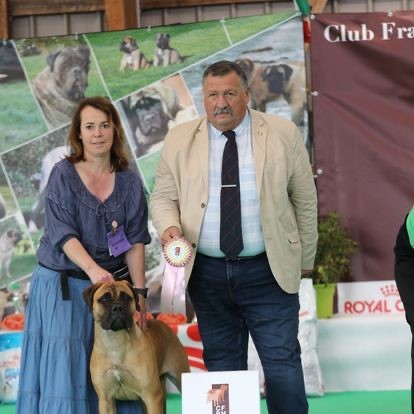 U are the one dit ugg De L'Arche Des Loups Anges - 2 eme classe Puppy