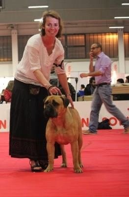 CH. i bulli di pianura Hotter than july - 1er classe Jeune Meilleur JEUNE Meilleure Femelle