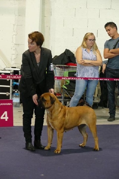 CH. i bulli di pianura Hotter than july - RCACS