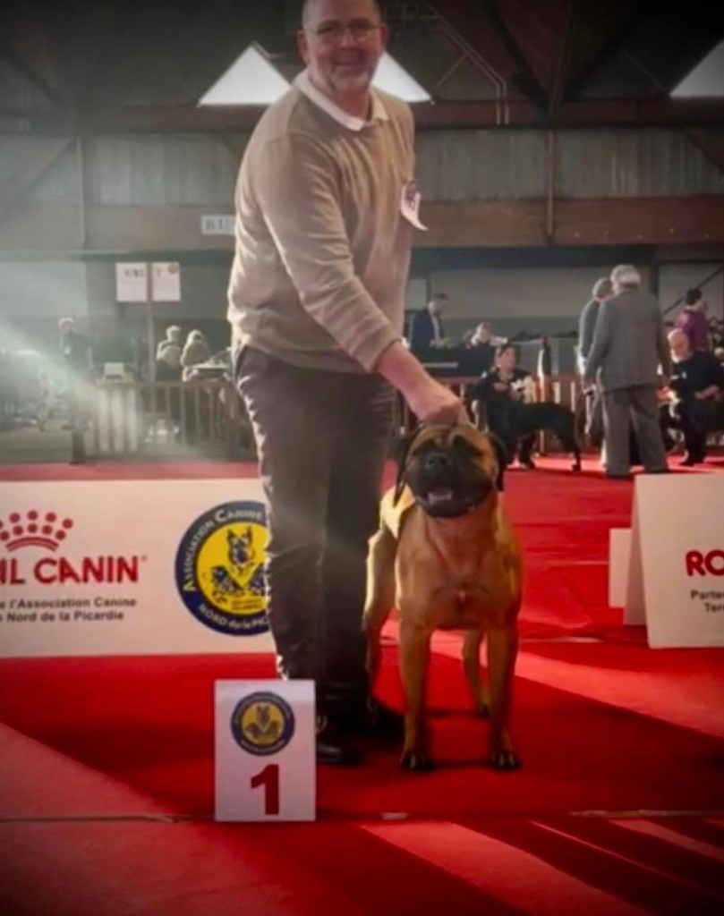 U are the one dit ugg De L'Arche Des Loups Anges - MEILLEUR JEUNE ET MEILLEURE DE RACE