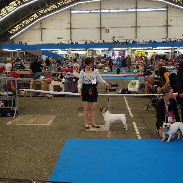 Gandor du Temple Sacré d'héloïse - EXCELLENT