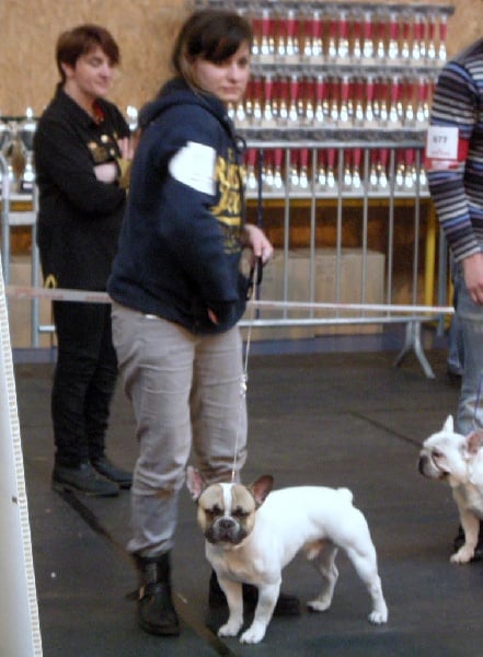 Gandor du Temple Sacré d'héloïse - 1ER EXC