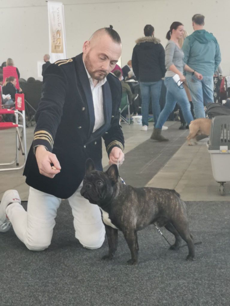 O charlie love prince De L'Idylle Sacrée - CW + RCAC + VDH + RCACIB