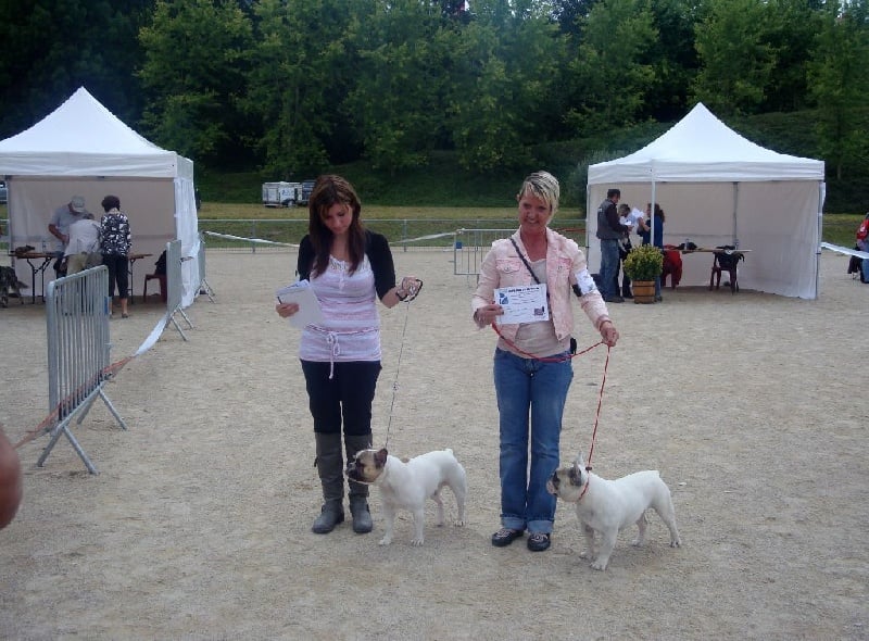 Gandor du Temple Sacré d'héloïse - 1ER EXC