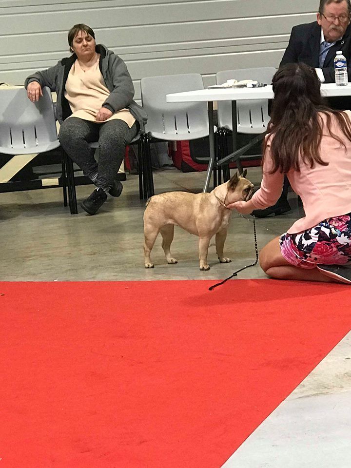 New tattoo kat von d De L'Idylle Sacrée - 5 eme exc