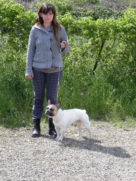 Gandor du Temple Sacré d'héloïse - 1ER EXC