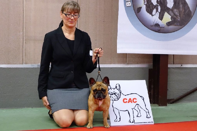 CH. blum's little flowers Cape diem - CW CAC