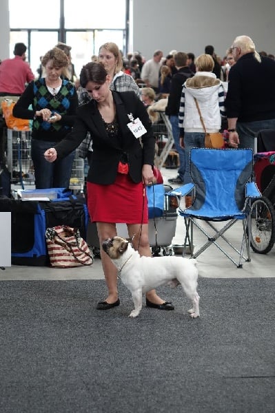 Gandor du Temple Sacré d'héloïse - très bon