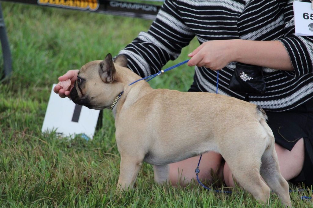 New tattoo kat von d De L'Idylle Sacrée - 2 EME TRES PROMETTEUR