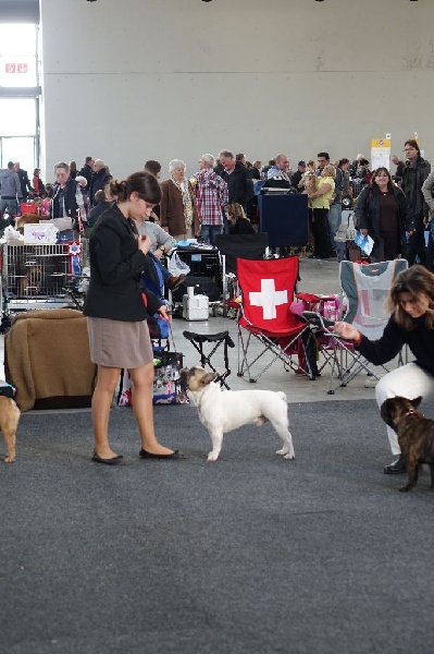 Gandor du Temple Sacré d'héloïse - très bon