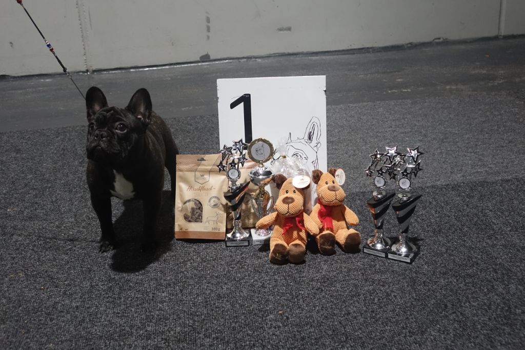 O charlie love prince De L'Idylle Sacrée - CW 1ER TP + BOB PUPPY