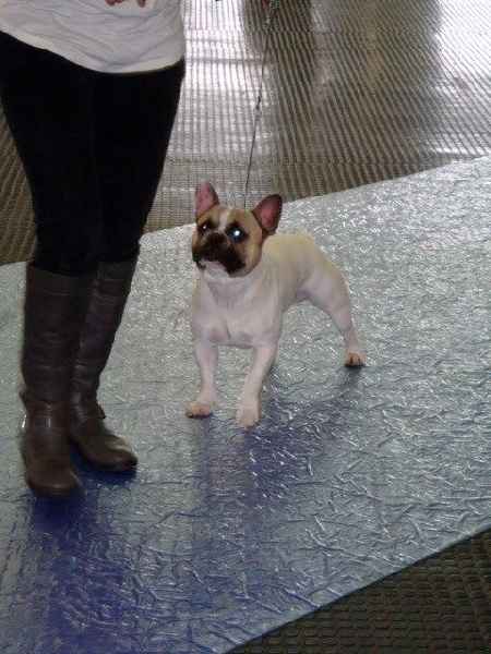 Gandor du Temple Sacré d'héloïse - 2EME EXC