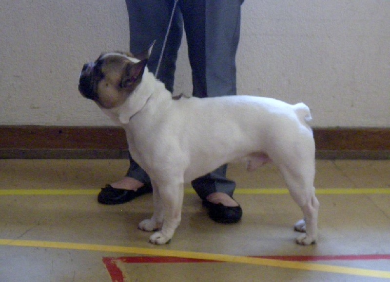 Gandor du Temple Sacré d'héloïse - TRES BON