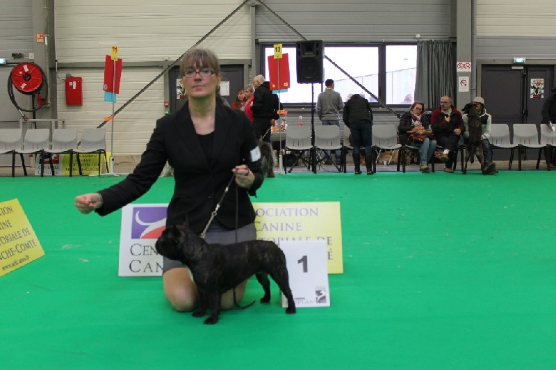 Felicie cabernet savignon (Sans Affixe) - CW