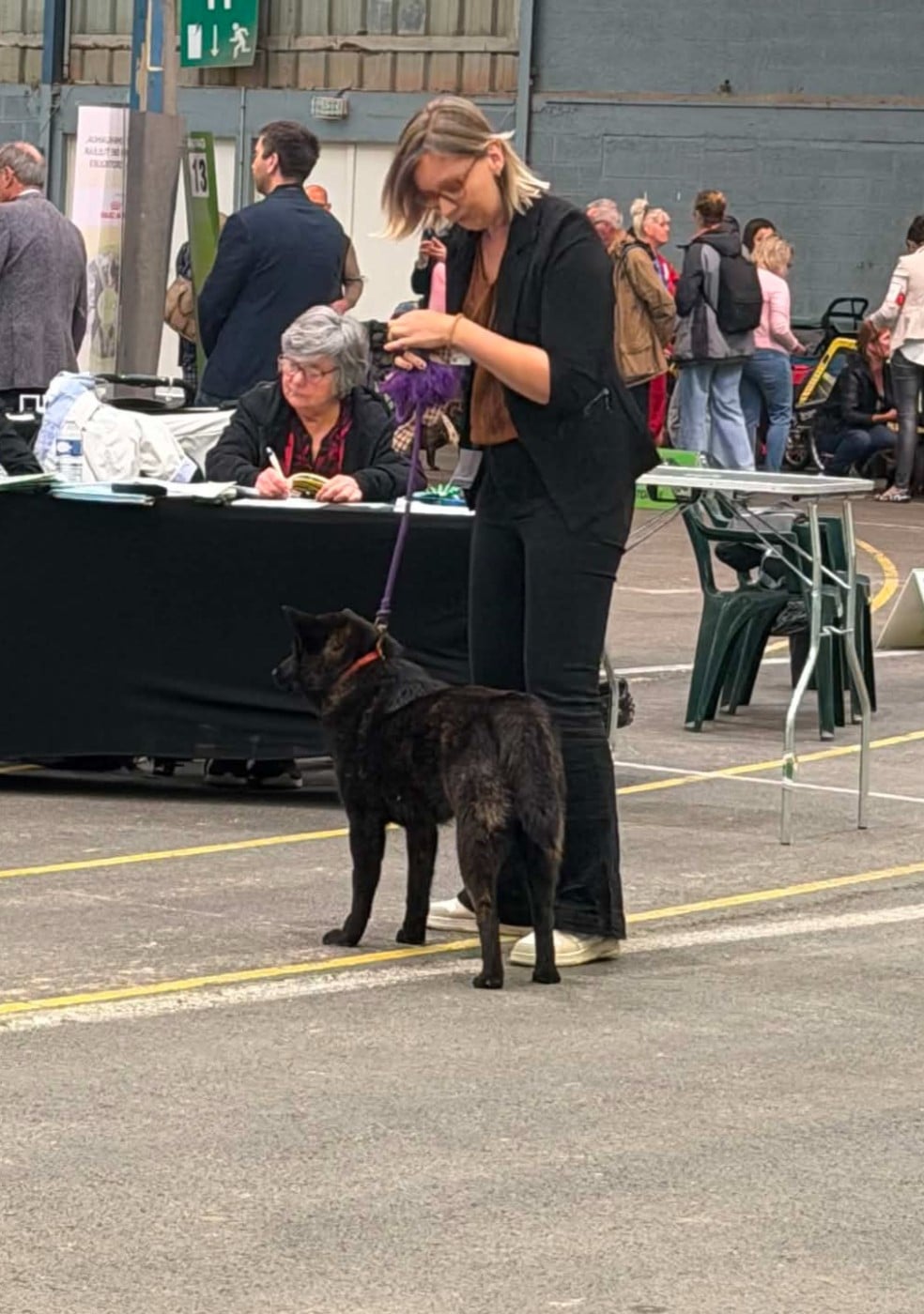 A'karube go Des Fideles Akita Ken - 1er Excellent + CACS J + BOB