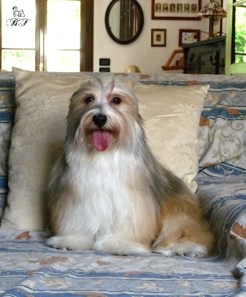 sandra's Natural beauty ninetta