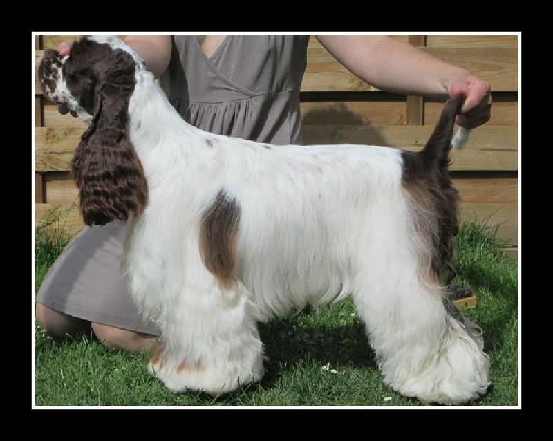 Publication : Of Eternal Passion Auteur : Charlotte HOUOT