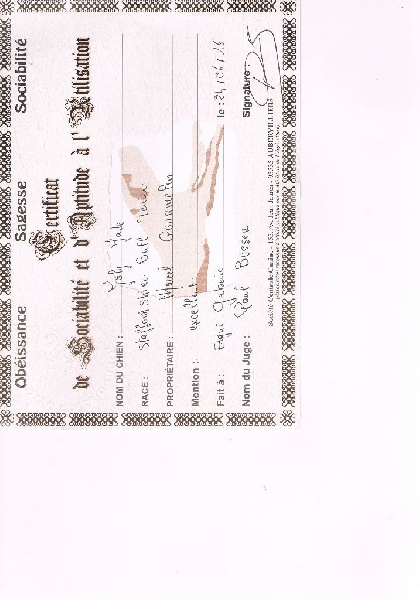 Joly jade des gardiends de l ame celte - CSAU avec un EXCELLENT