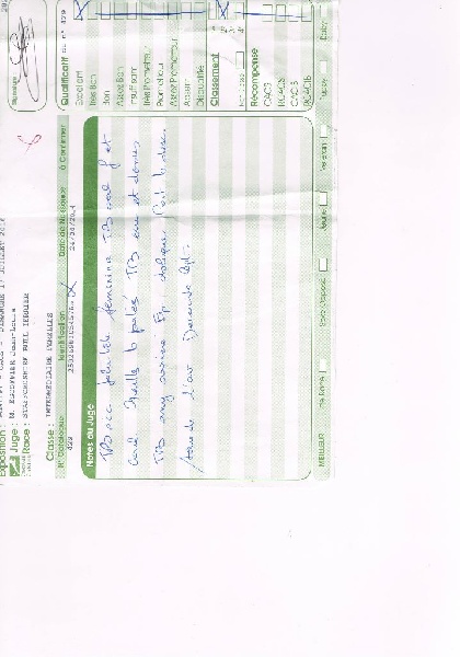 Joly jade des gardiends de l ame celte - 2em EXCELLENT