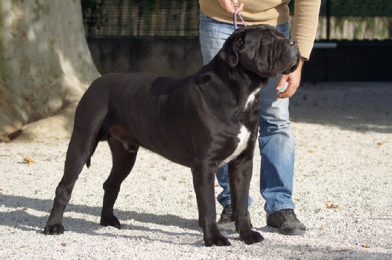 Publication : Des Démons Des Papes Auteur : Claude Moreno