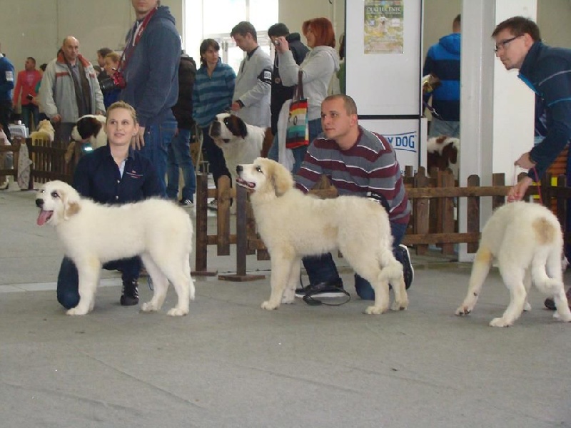 Amanda red sunset - très prometteur 1
