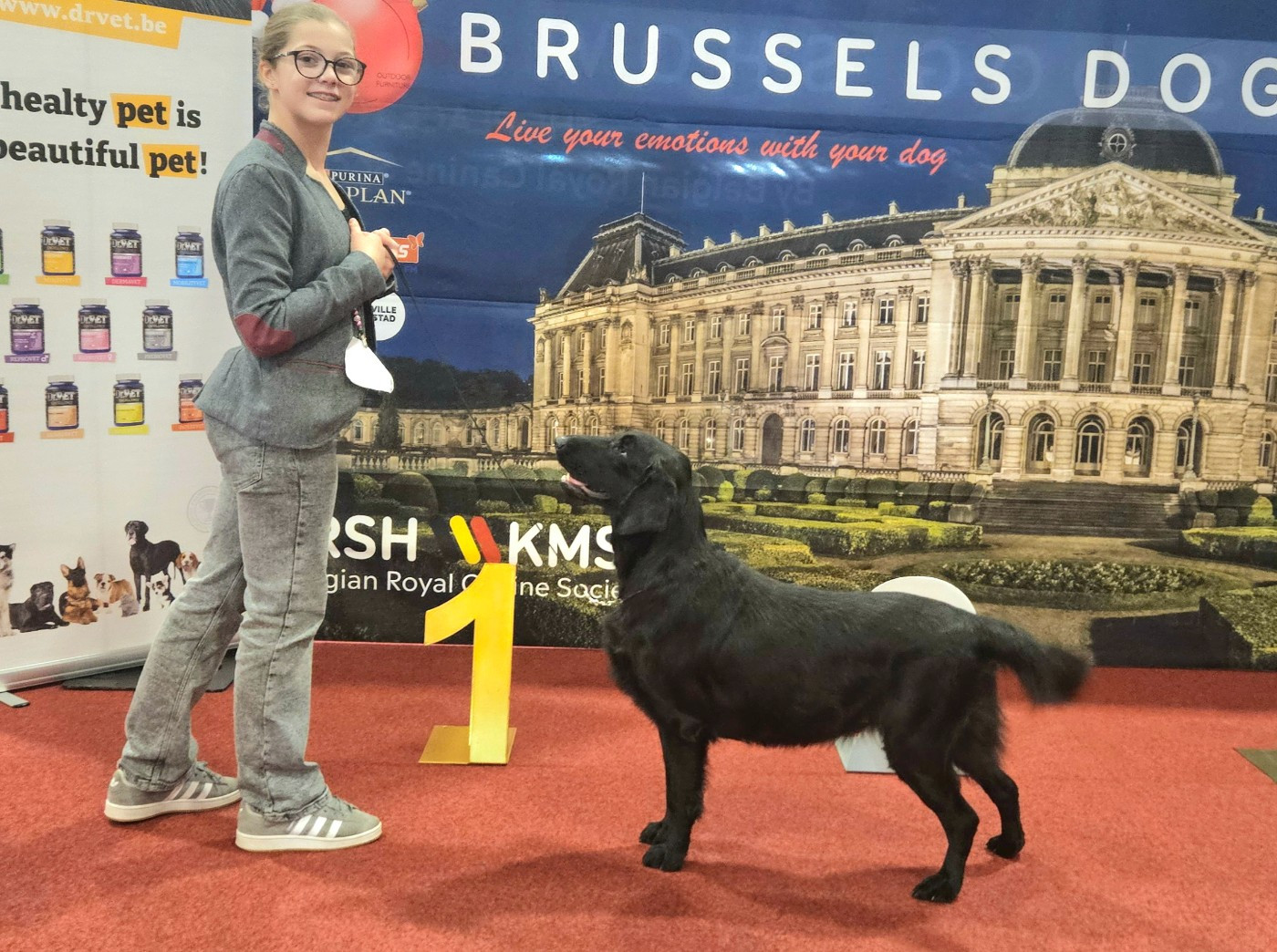 CH. Ti amo pretty lady Du Domaine De Maliba - Classe travail 1er Exc CAC