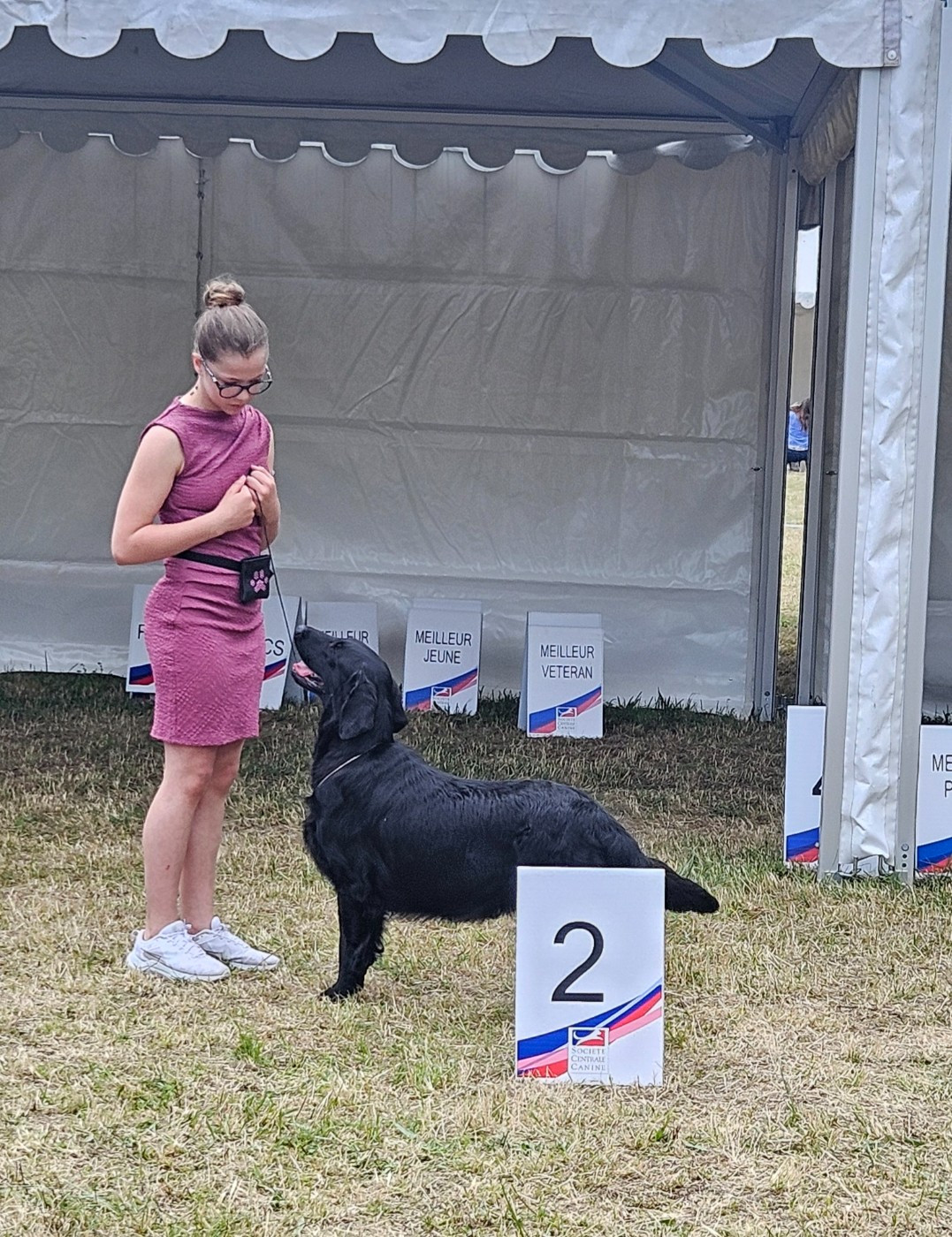 CH. Ti amo pretty lady Du Domaine De Maliba - Classe travail 2eme Exc