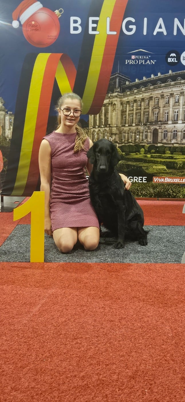 CH. Ti amo pretty lady Du Domaine De Maliba - Classe travail 1er Exc CAC x2 / 1er TB