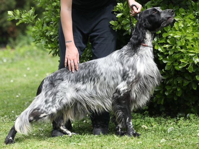 Under pressure Du Touchaud