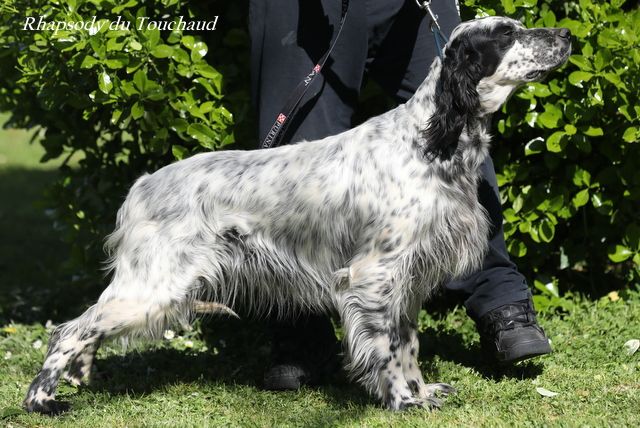CH. Rhapsody Du Touchaud