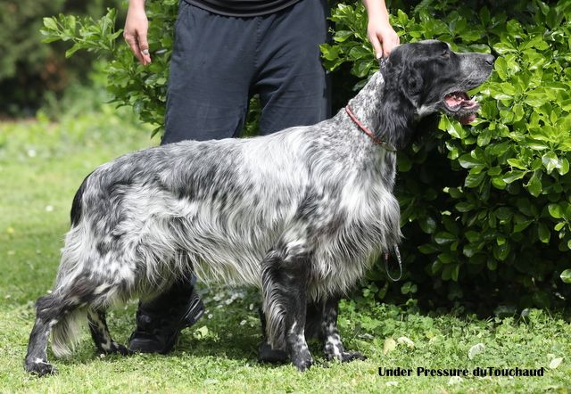 Under pressure Du Touchaud