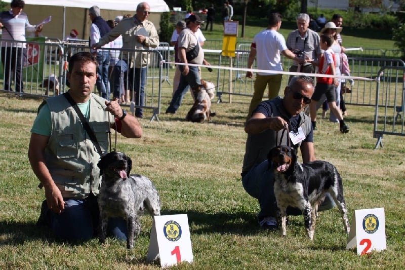 Publication : Del Zumbacon