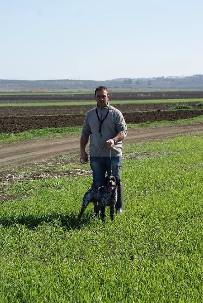 Publication : Del Zumbacon