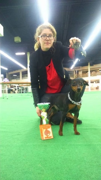 Chester mali zmaj - 1 er Excellent