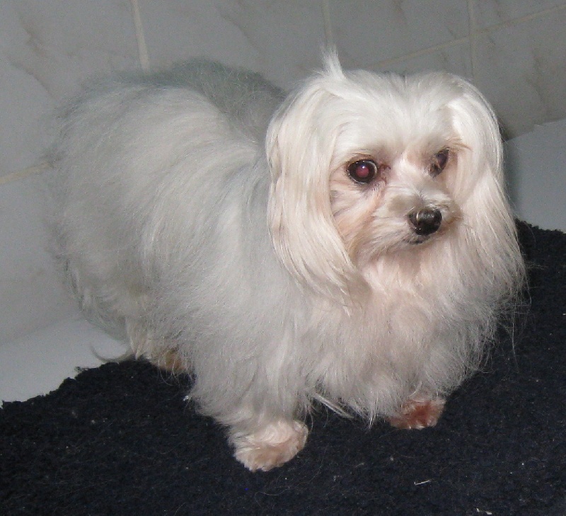 Publication : (Sans Affixe)