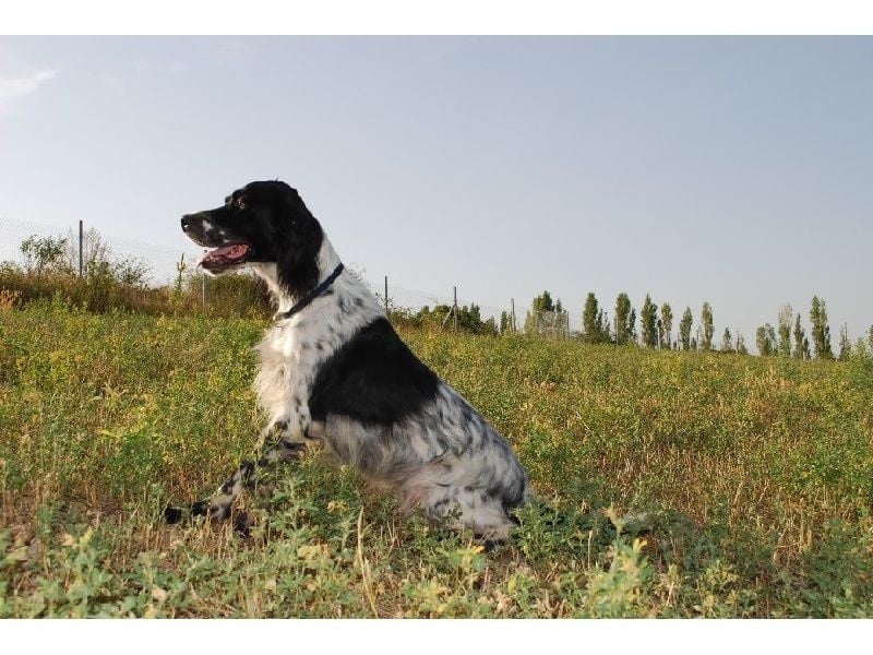 Fara du fief de la Garenne