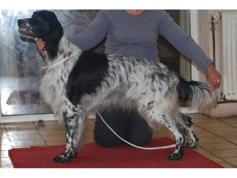 Fara du fief de la Garenne