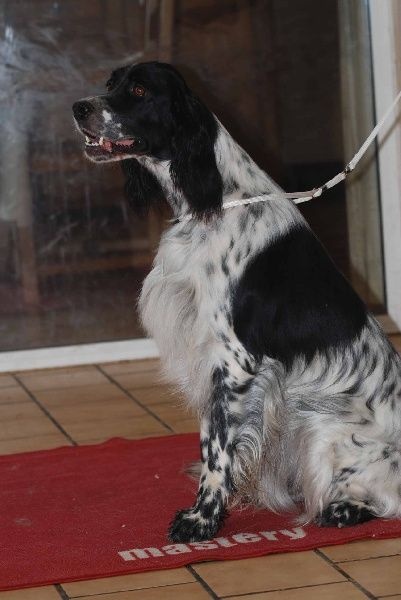 Fara du fief de la Garenne