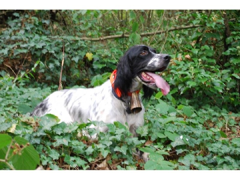 Fara du fief de la Garenne