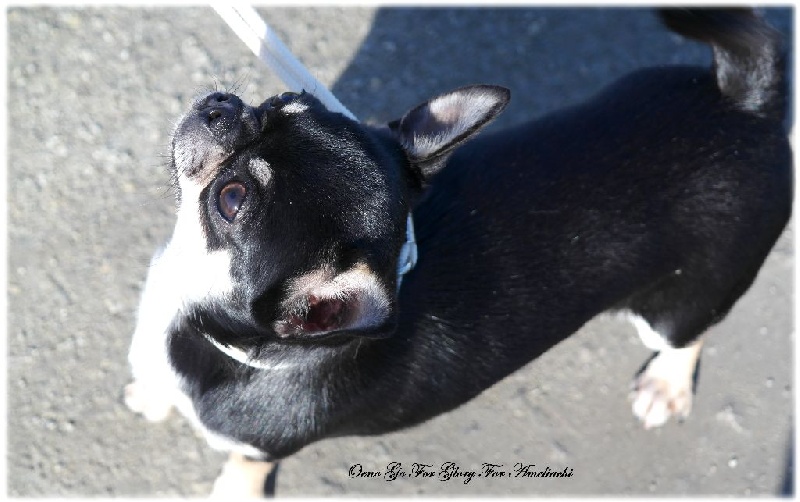 Publication : Du Secret Des Dieux Auteur : Du Secret Des Dieux