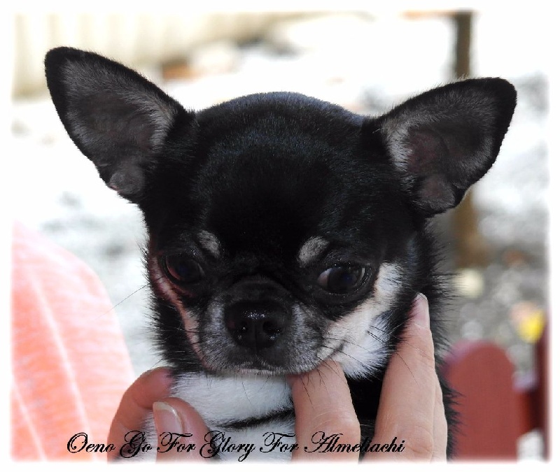 Publication : Du Secret Des Dieux Auteur : Du Secret Des Dieux