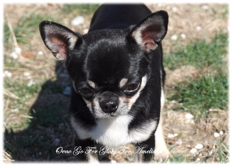 Publication : Du Secret Des Dieux Auteur : Du Secret Des Dieux