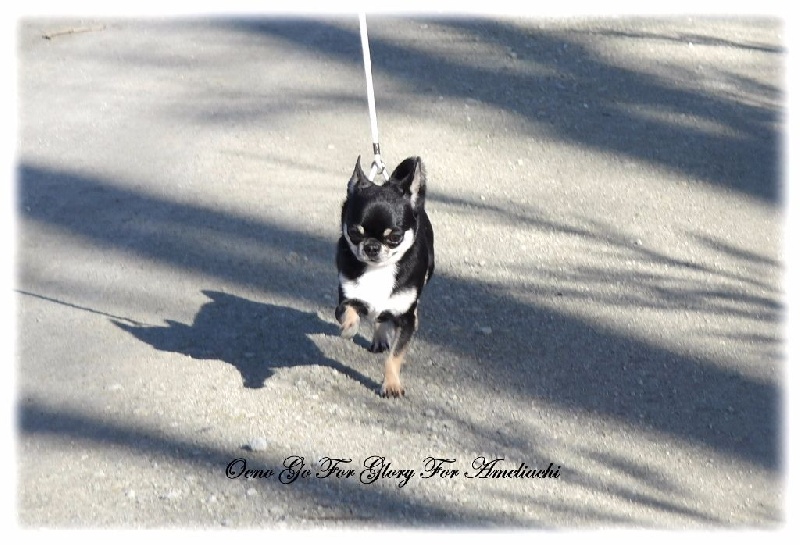 Publication : Du Secret Des Dieux Auteur : Du Secret Des Dieux