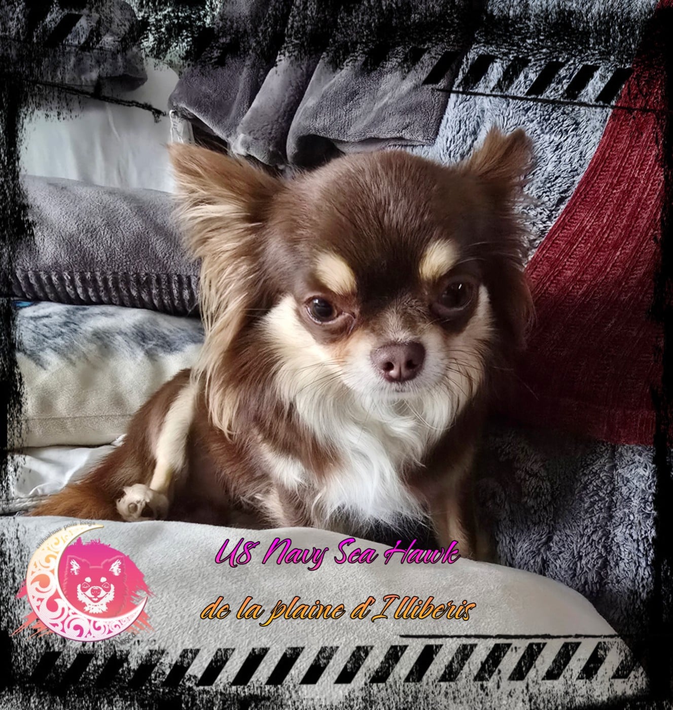 U8 navy sea hawk De La Plaine D'illiberis